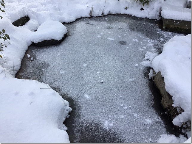 90C617A5-96F5-45AD-88C6-55DD768AAEAD 90C617A5-96F5-45AD-88C6-55DD768AAEAD