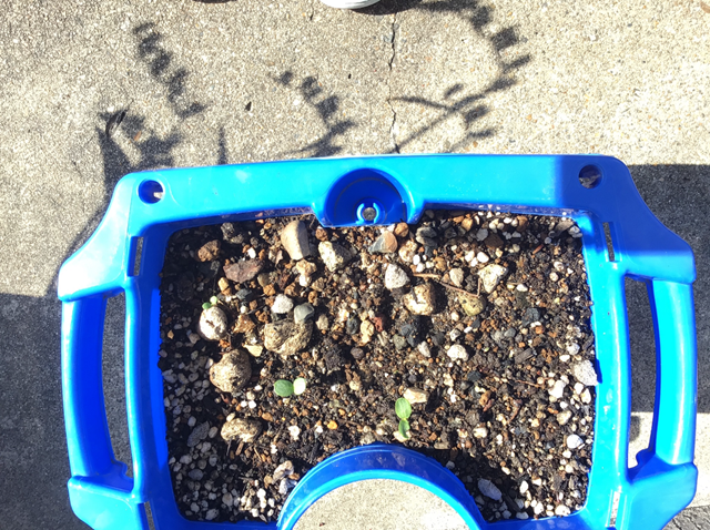 IMG_0224 (2) IMG_0224 (2)