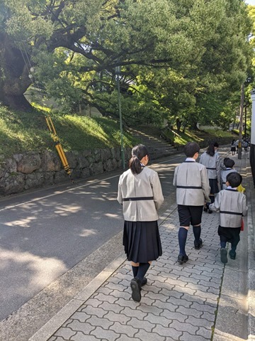 PXL_20230509_234934395.MP_20230510105403 PXL_20230509_234934395.MP_20230510105403