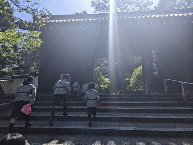 PXL_20230509_235149846.MP_20230510105138 PXL_20230509_235149846.MP_20230510105138