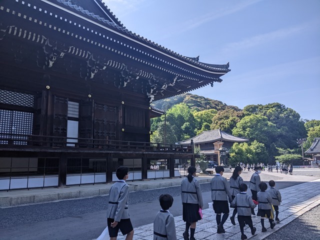 PXL_20230509_235557151_20230510105048 PXL_20230509_235557151_20230510105048